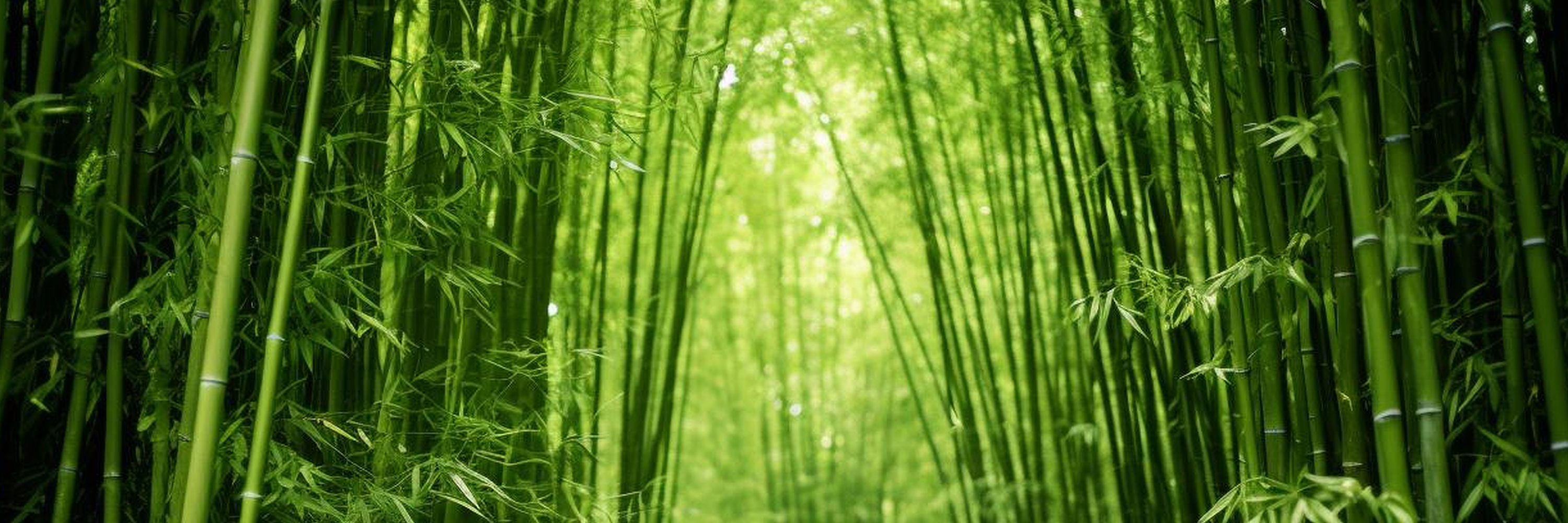 Bamboo and Sustainability: The Ideal Duo for Eco-Friendly Home Decor - Imeco India