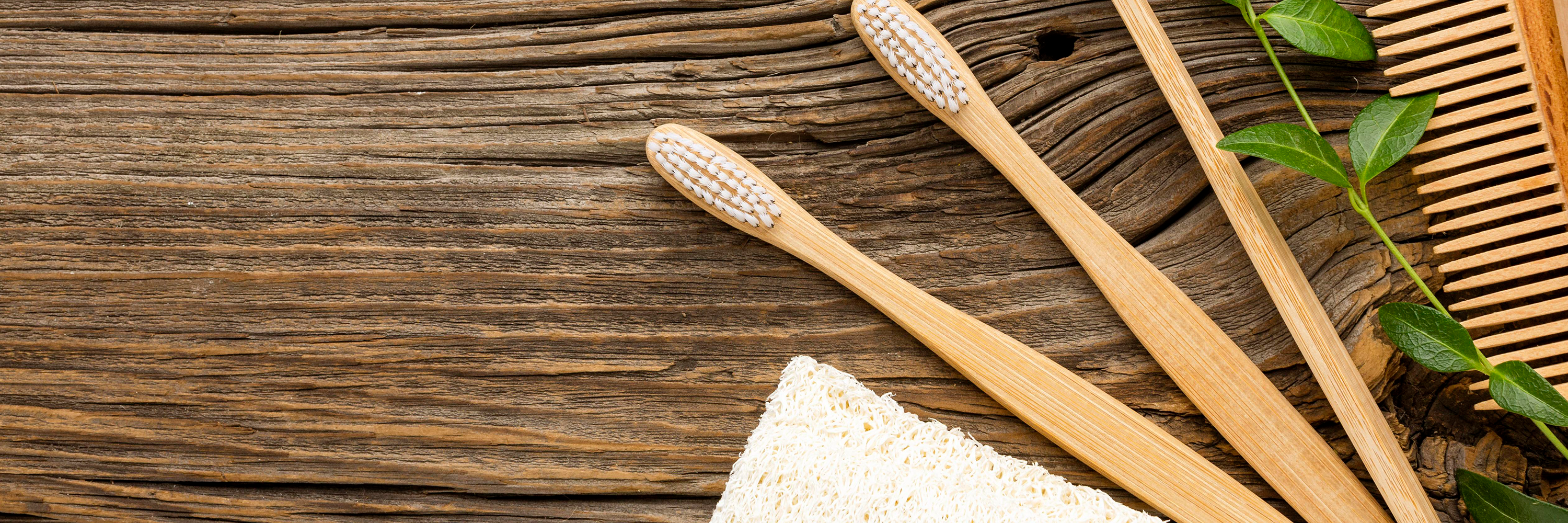 Why Switching to a Bamboo Toothbrush Is a Smart Move