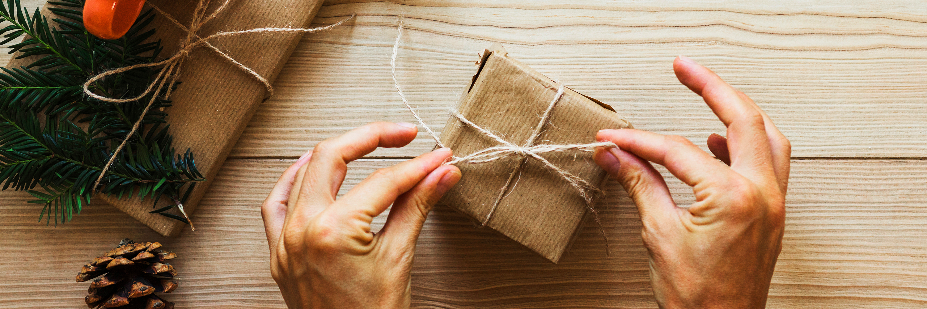 Eco-Friendly Gifts to Cherish the Earth and Delight Your Wife - Imeco India