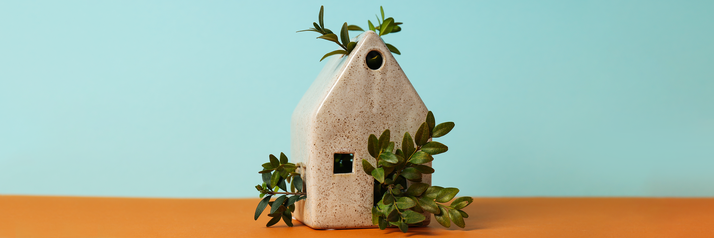 The Complete Guide to Eco-Minimalism: Simple, Enjoyable Steps to Go Green! - Imeco India