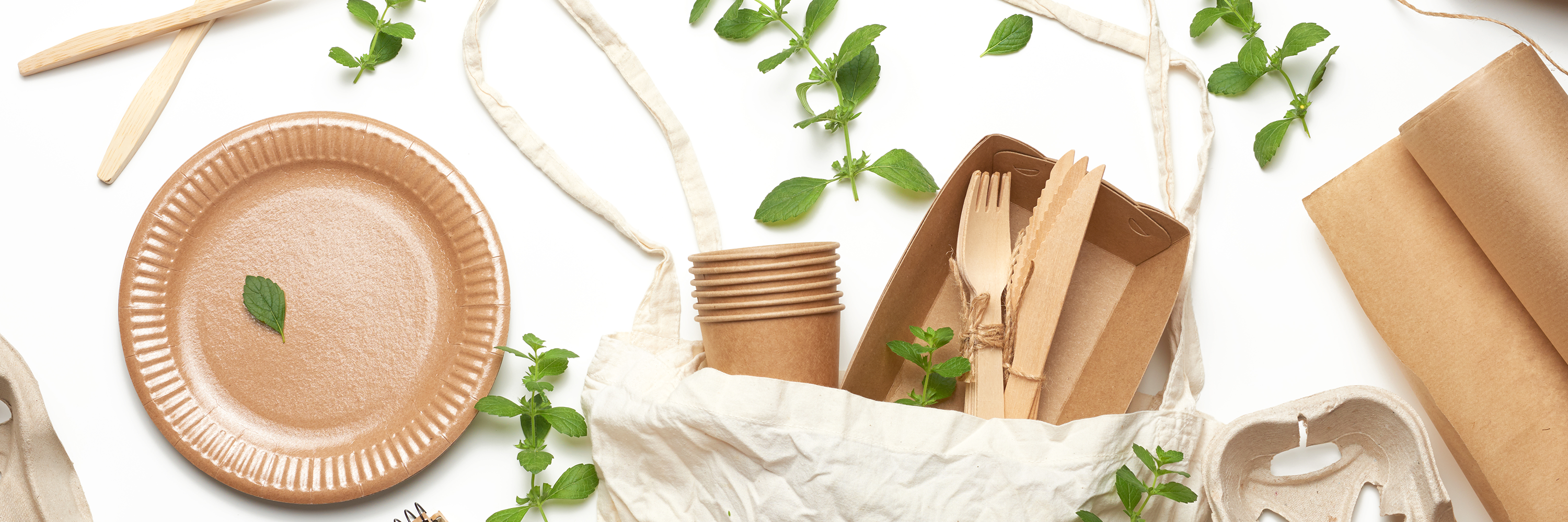 Embrace Green Living: Trends for a Sustainable Future - Imeco India