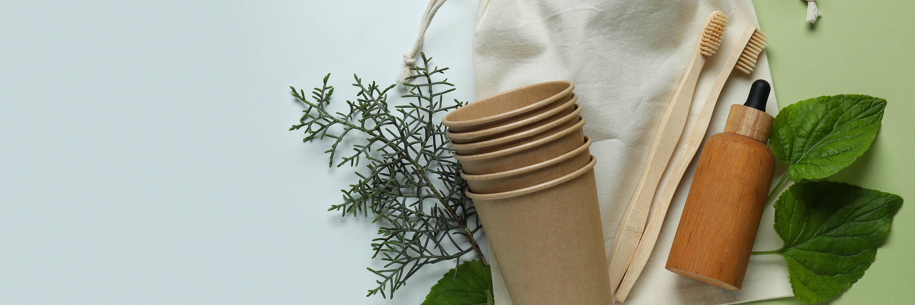 Creating a Sustainable Personal Space: Simple Steps for a Greener Lifestyle