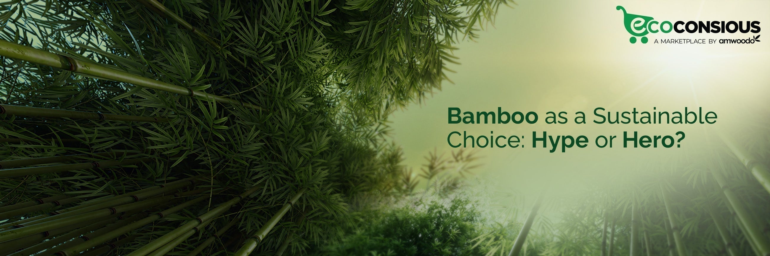 Is Bamboo Really Sustainable? Decoding the Myths & Facts - Imeco India