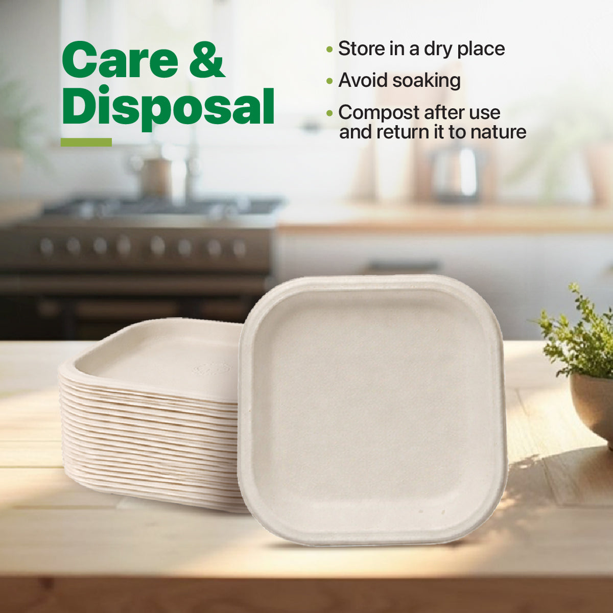 Bamboo Square Disposable Plates (7 Inch) – Pack of 25