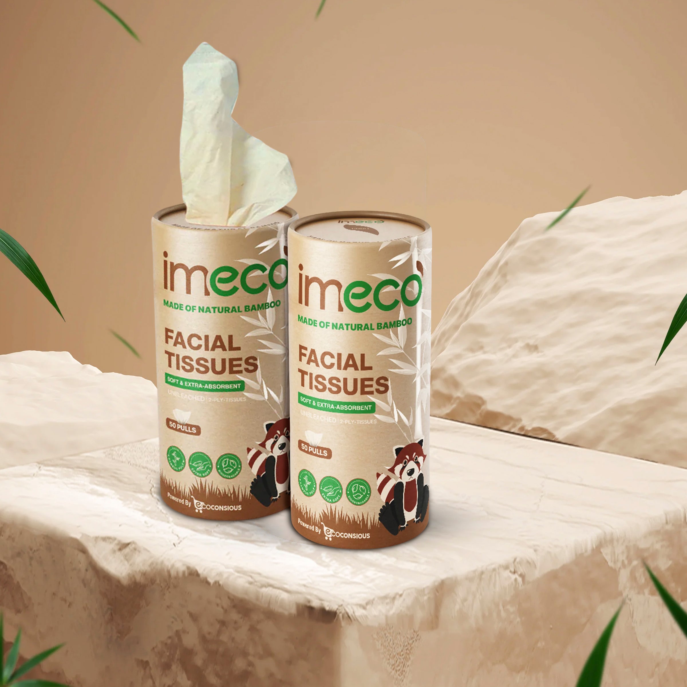 Bamboo Facial Tissues in Cylindrical Box (50 Pulls, Pack of 2)