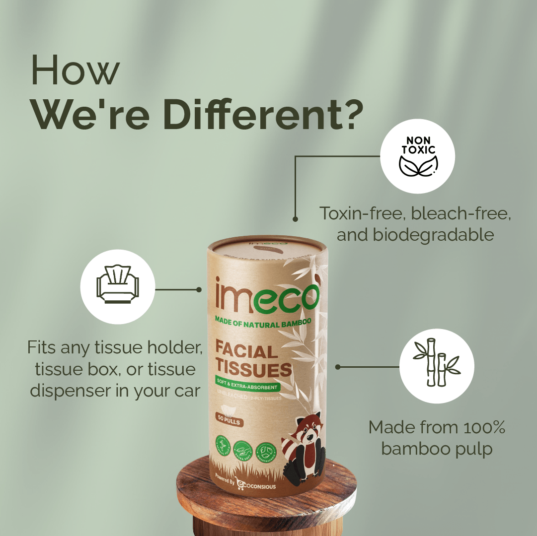 Bamboo Facial Tissues in Cylindrical Box