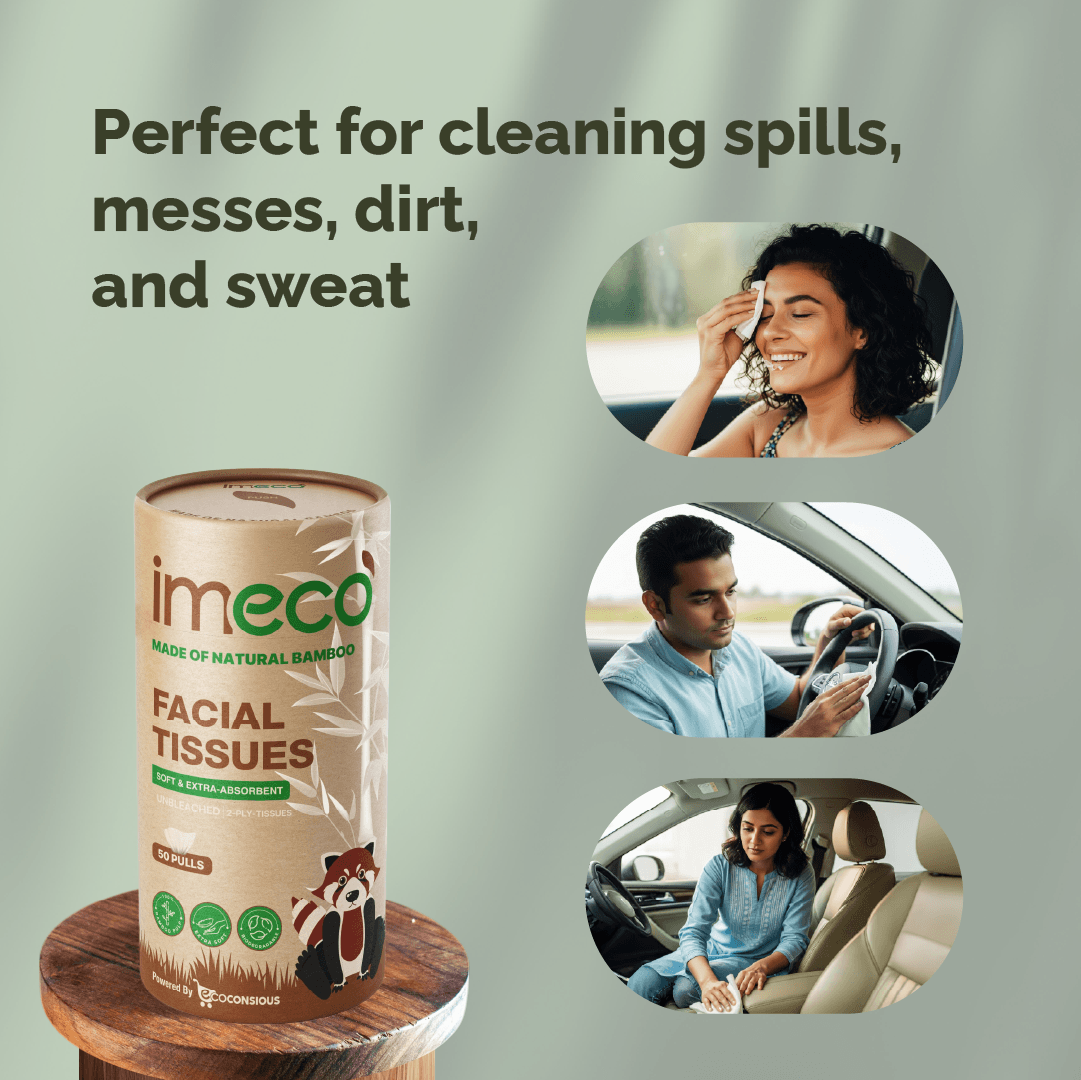 Bamboo Facial Tissues in Cylindrical Box
