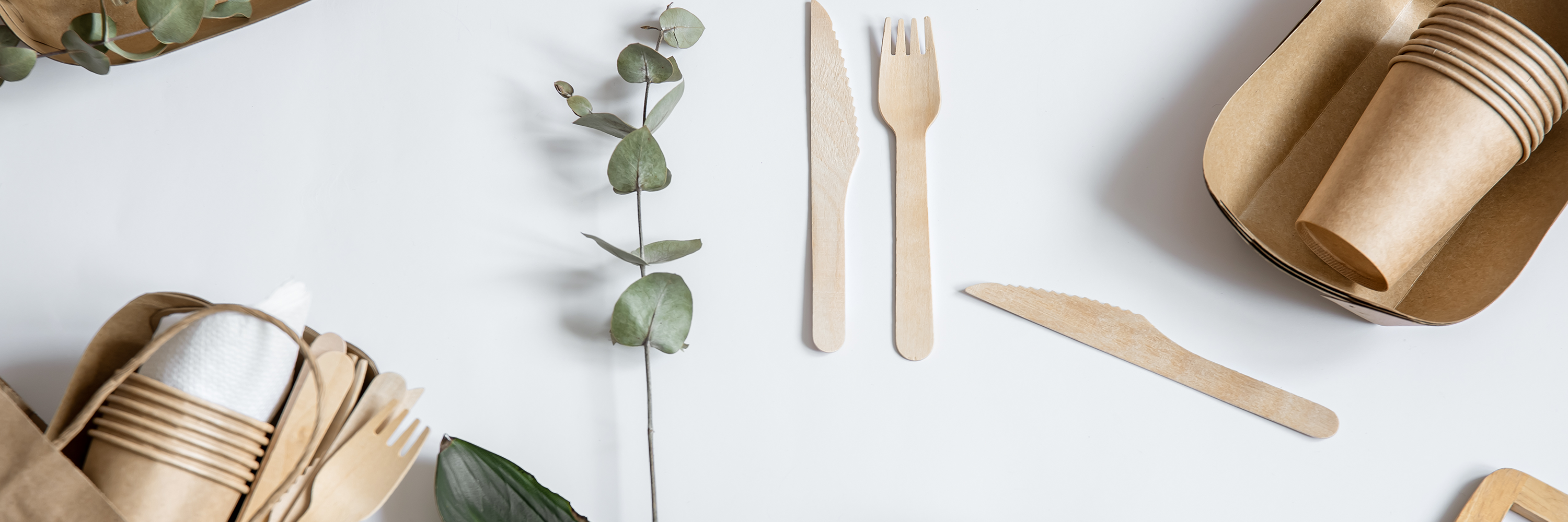 Sustainable Choices: Embracing Eco-Friendly Products in India - Imeco India