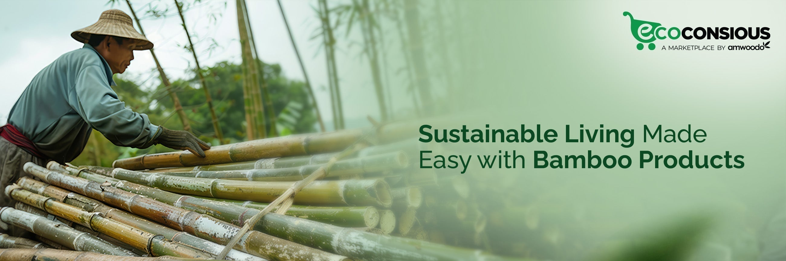 bamboo products for a sustainable lifestyle