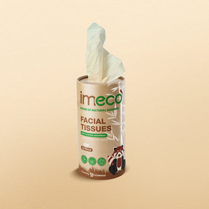 Bamboo Facial Tissues in Cylindrical Box