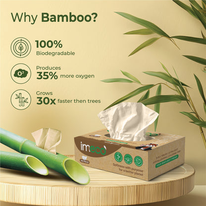 Bamboo Facial Tissues – Ultra-Soft Texture & Skin-Loving - Imeco India